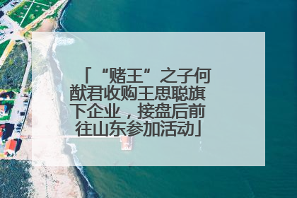 “赌王”之子何猷君收购王思聪旗下企业，接盘后前往山东参加活动