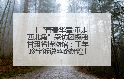 “青春华章·重走西北角”采访团探秘甘肃省博物馆：千年珍宝诉说丝路辉煌