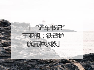 “铲车书记”王亚明：铁臂护航夏种水脉