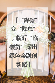 “降碳”变“降息”，临沂“临碳贷”探出绿色金融创新路