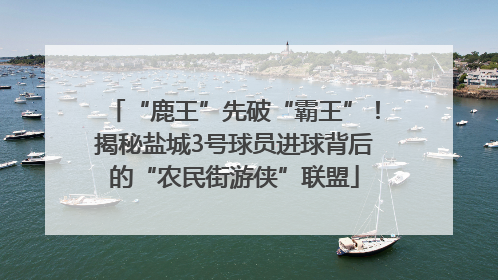 “鹿王”先破“霸王”！揭秘盐城3号球员进球背后的“农民街游侠”联盟