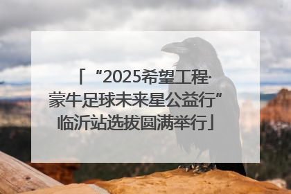 “2025希望工程·蒙牛足球未来星公益行”临沂站选拔圆满举行