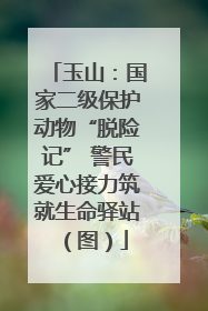 玉山：国家二级保护动物“脱险记” 警民爱心接力筑就生命驿站（图）