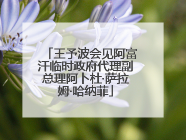 王予波会见阿富汗临时政府代理副总理阿卜杜·萨拉姆·哈纳菲