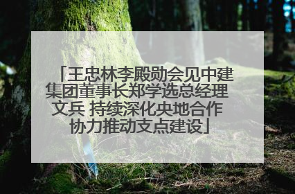 王忠林李殿勋会见中建集团董事长郑学选总经理文兵 持续深化央地合作 协力推动支点建设