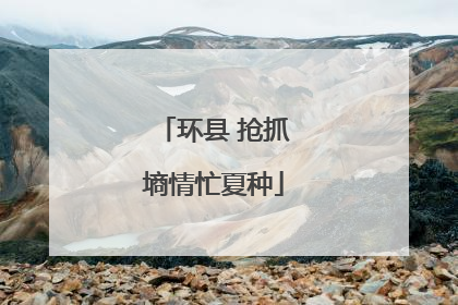 环县 抢抓墒情忙夏种