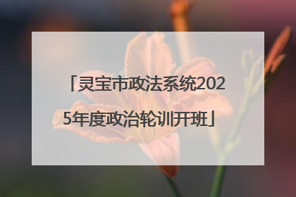 灵宝市政法系统2025年度政治轮训开班