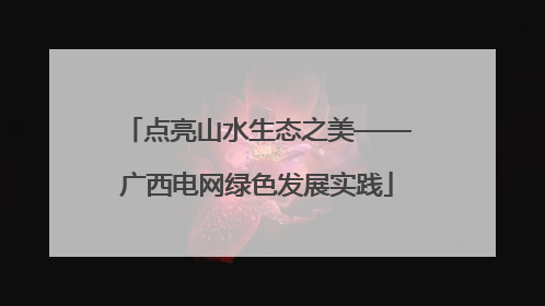 点亮山水生态之美——广西电网绿色发展实践