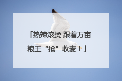 热辣滚烫 跟着万亩粮王“抢”收麦！