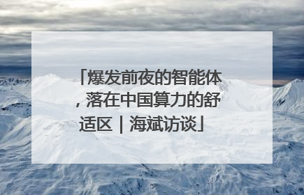爆发前夜的智能体，落在中国算力的舒适区｜海斌访谈