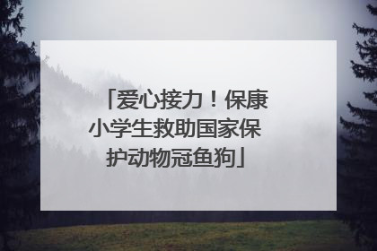 爱心接力！保康小学生救助国家保护动物冠鱼狗