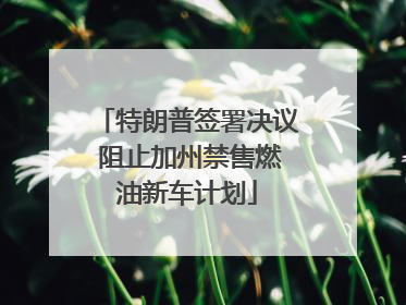 特朗普签署决议 阻止加州禁售燃油新车计划