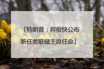 特朗普：将很快公布新任美联储主席任命