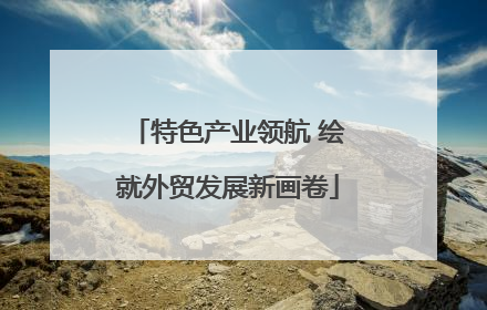 特色产业领航 绘就外贸发展新画卷