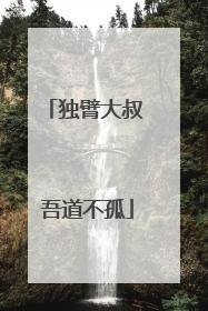 独臂大叔 吾道不孤