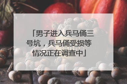 男子进入兵马俑三号坑，兵马俑受损等情况正在调查中