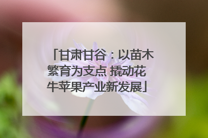 甘肃甘谷：以苗木繁育为支点 撬动花牛苹果产业新发展