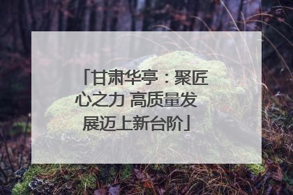 甘肃华亭：聚匠心之力 高质量发展迈上新台阶