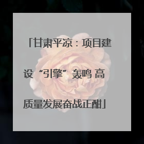 甘肃平凉：项目建设“引擎”轰鸣 高质量发展奋战正酣