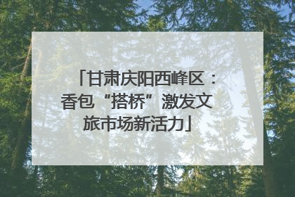 甘肃庆阳西峰区：香包“搭桥”激发文旅市场新活力