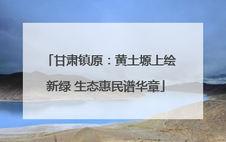 甘肃镇原：黄土塬上绘新绿 生态惠民谱华章