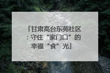 甘肃高台东苑社区：守住“家门口”的幸福“食”光