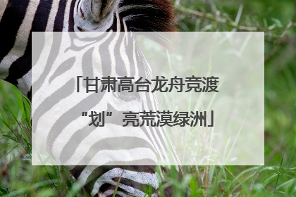 甘肃高台龙舟竞渡“划”亮荒漠绿洲