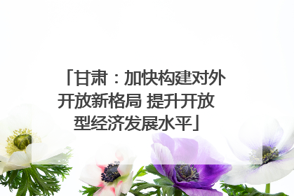 甘肃：加快构建对外开放新格局 提升开放型经济发展水平
