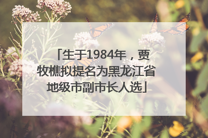 生于1984年，贾牧樵拟提名为黑龙江省地级市副市长人选