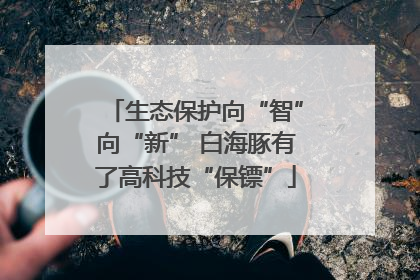生态保护向“智”向“新” 白海豚有了高科技“保镖”