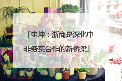申坤：浙商是深化中非务实合作的新桥梁