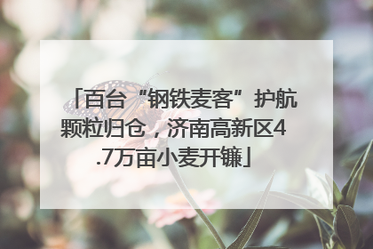 百台“钢铁麦客”护航颗粒归仓，济南高新区4.7万亩小麦开镰