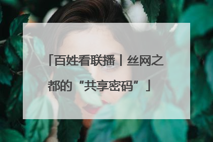百姓看联播丨丝网之都的“共享密码”