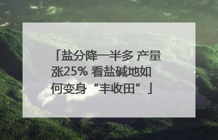 盐分降一半多 产量涨25% 看盐碱地如何变身“丰收田”
