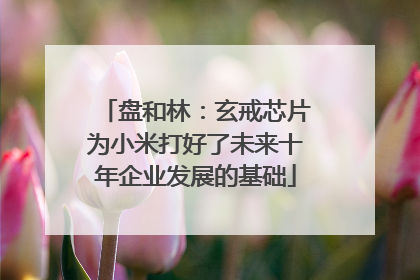 盘和林：玄戒芯片为小米打好了未来十年企业发展的基础