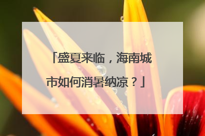 盛夏来临，海南城市如何消暑纳凉？