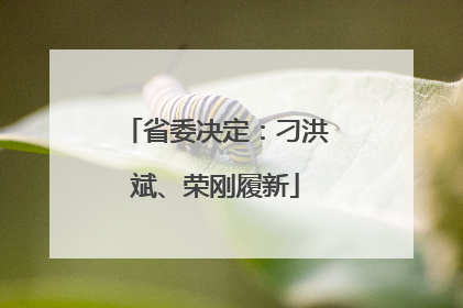 省委决定：刁洪斌、荣刚履新