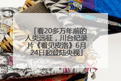 看20多万年前的人类远征，川台纪录片《看见皮洛》6月24日起登陆央视