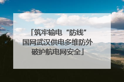 筑牢输电“防线” 国网武汉供电多维防外破护航电网安全