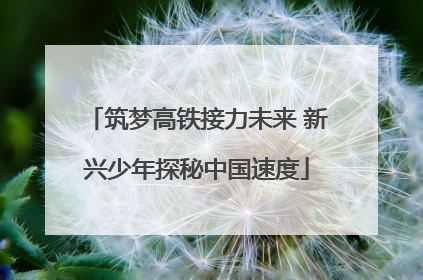 筑梦高铁接力未来 新兴少年探秘中国速度