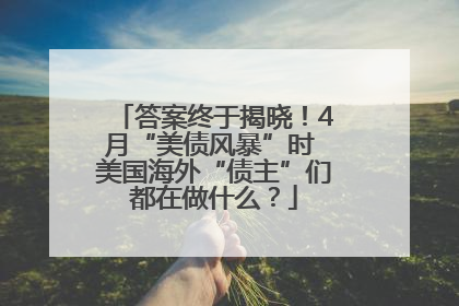 答案终于揭晓！4月“美债风暴”时 美国海外“债主”们都在做什么？