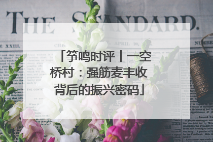 筝鸣时评丨一空桥村：强筋麦丰收背后的振兴密码