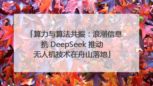 算力与算法共振：浪潮信息携 DeepSeek 推动无人机技术在舟山落地