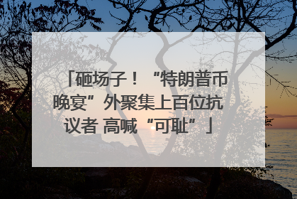 砸场子！“特朗普币晚宴”外聚集上百位抗议者 高喊“可耻”