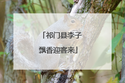 祁门县李子飘香迎客来