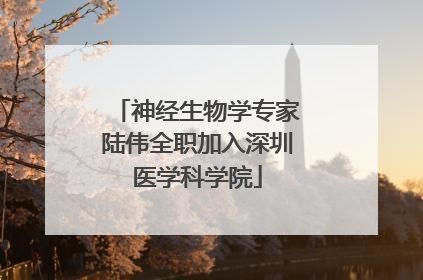 神经生物学专家陆伟全职加入深圳医学科学院
