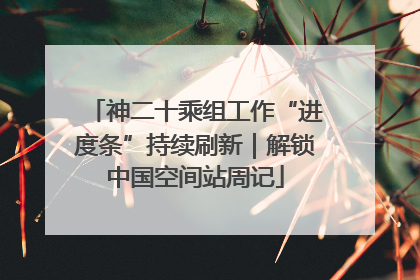 神二十乘组工作“进度条”持续刷新｜解锁中国空间站周记