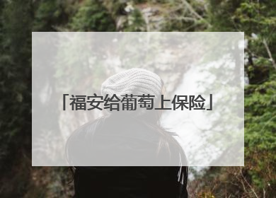 福安给葡萄上保险