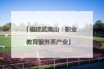 福建武夷山：职业教育服务茶产业
