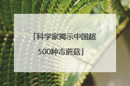 科学家揭示中国超500种毒蘑菇